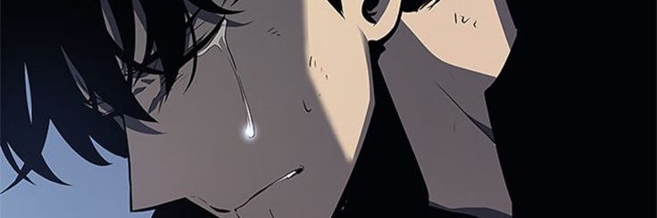 insane jin-woo's banner