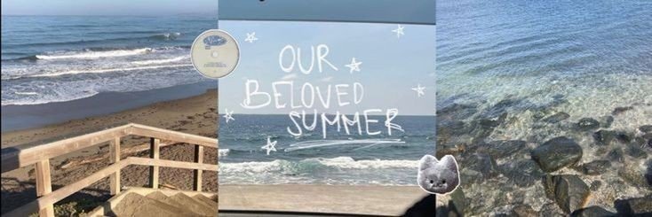Nini Buxbaum❀'s banner