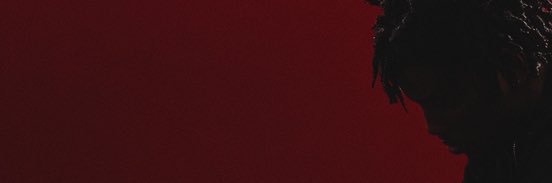 The Guy's banner