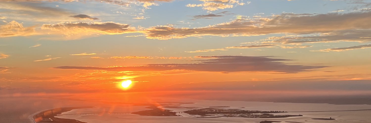Olivia May ✨'s banner