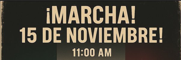 Ana Villarreal's banner