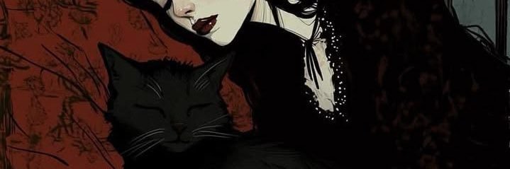 🐈‍⬛'s banner