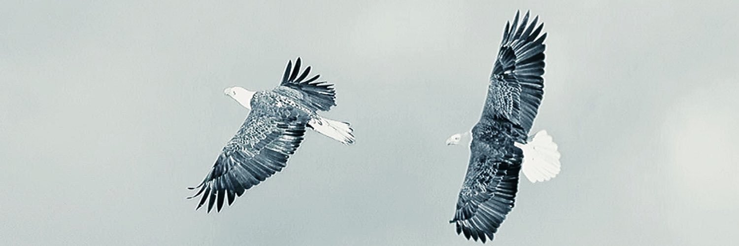 𝕋𝕌ℝ𝔾𝕌𝕋 𝔸𝕃ℙ 🇹🇷🦅's banner