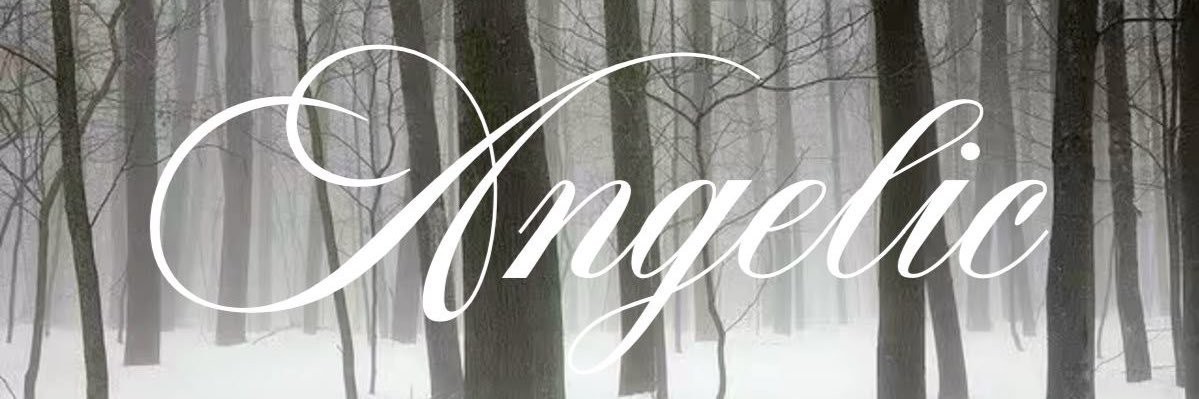 gwendy ⋆.ೃ࿔'s banner