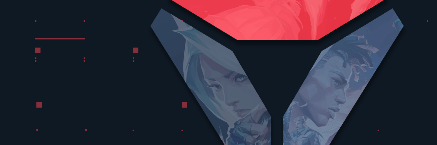 VLR.gg's banner