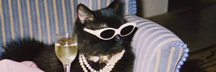 Мягкие кости's banner