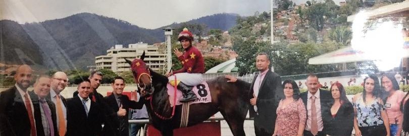 STORM POET 🏇 🏇 🏇's banner