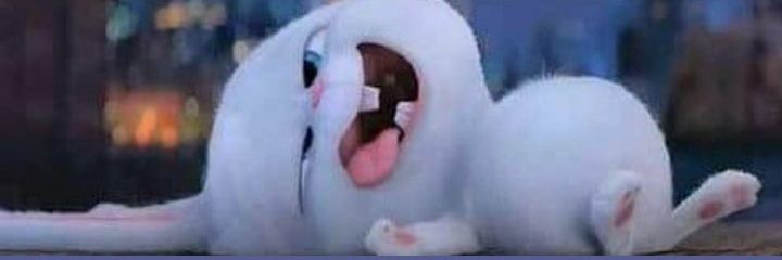 𝒞ℴ𝓃ℯ𝒿𝒾𝓉ℴ 𝒯𝓊𝓀𝒶𝒸𝒽𝒾𝓃𝒸𝒽𝒾𝓁𝓁𝒶 𝒵.'s banner