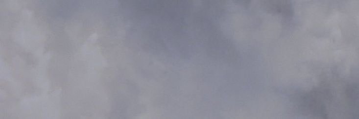 ۟'s banner