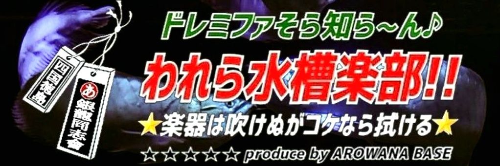 AROWANA BASE's banner