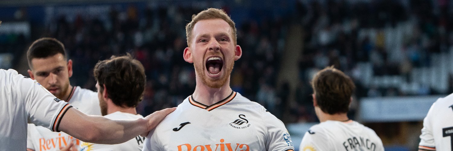🦢 WeAreSwansea 🦢's banner