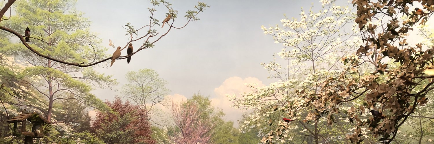 Jialu Li's banner