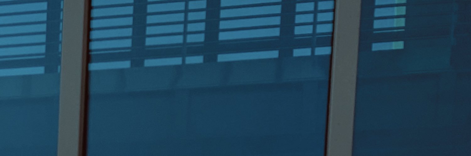 Ronen's banner