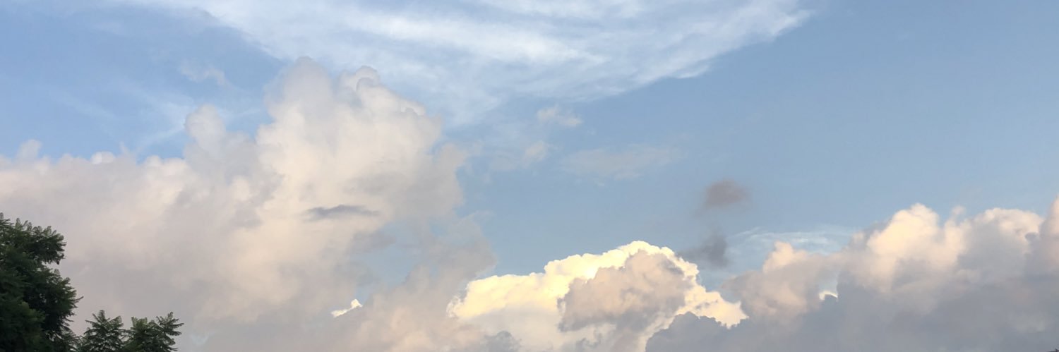 H&A ParZap's banner
