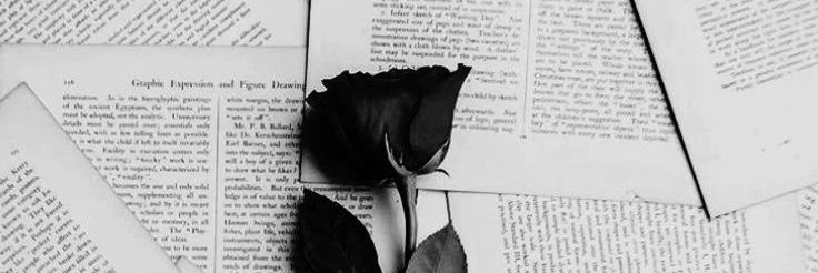 ًann 🍂's banner
