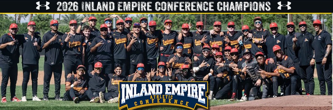 Desert Baseball's banner