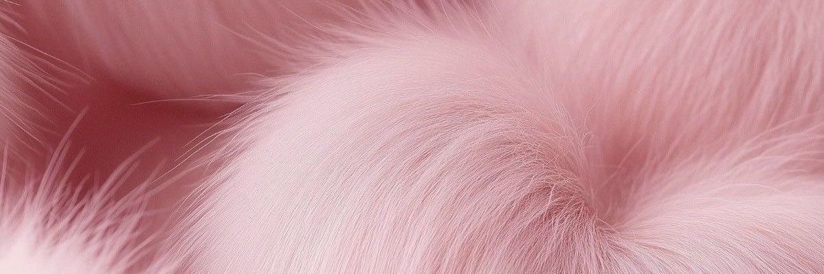 una.🎀's banner