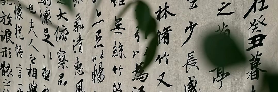 绝望主妇（无性生活版）'s banner