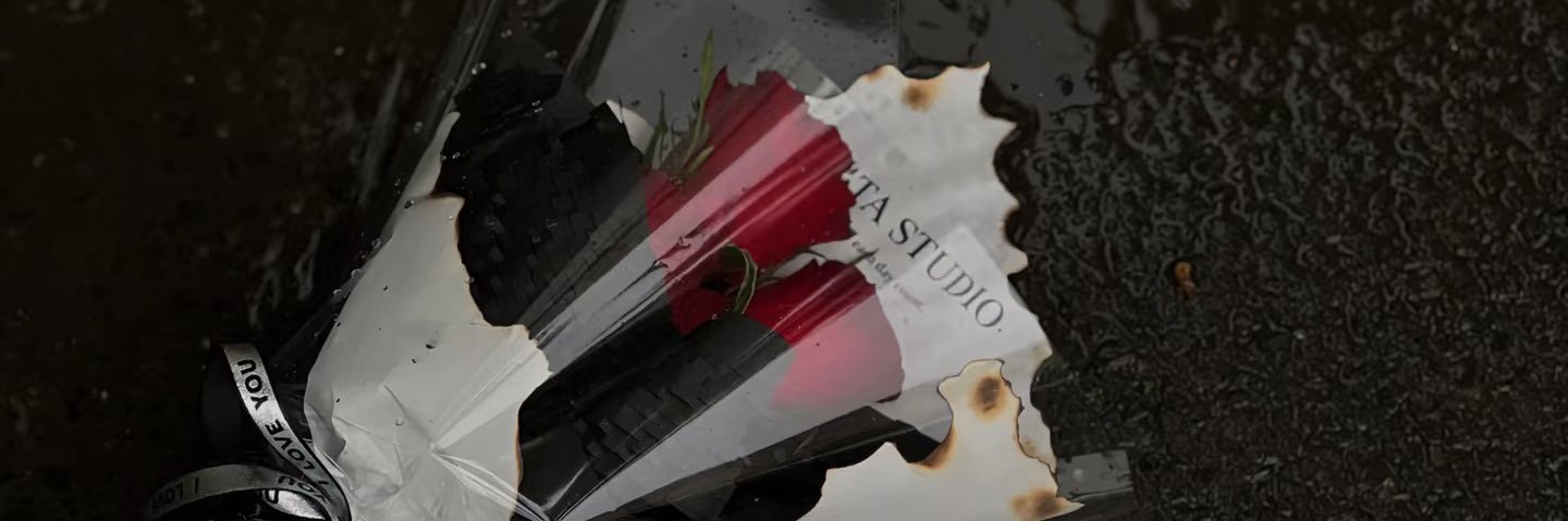 霖霖不温柔's banner