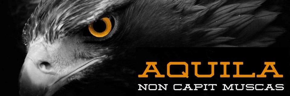🇦🇷 N.O.M.A.D. 🇦🇷's banner