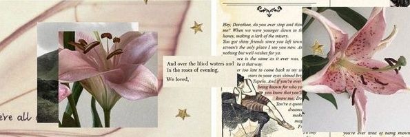 addie ꪆꫀ's banner