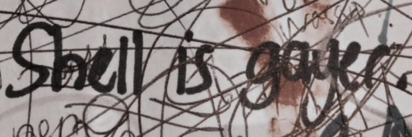 shell ✦'s banner