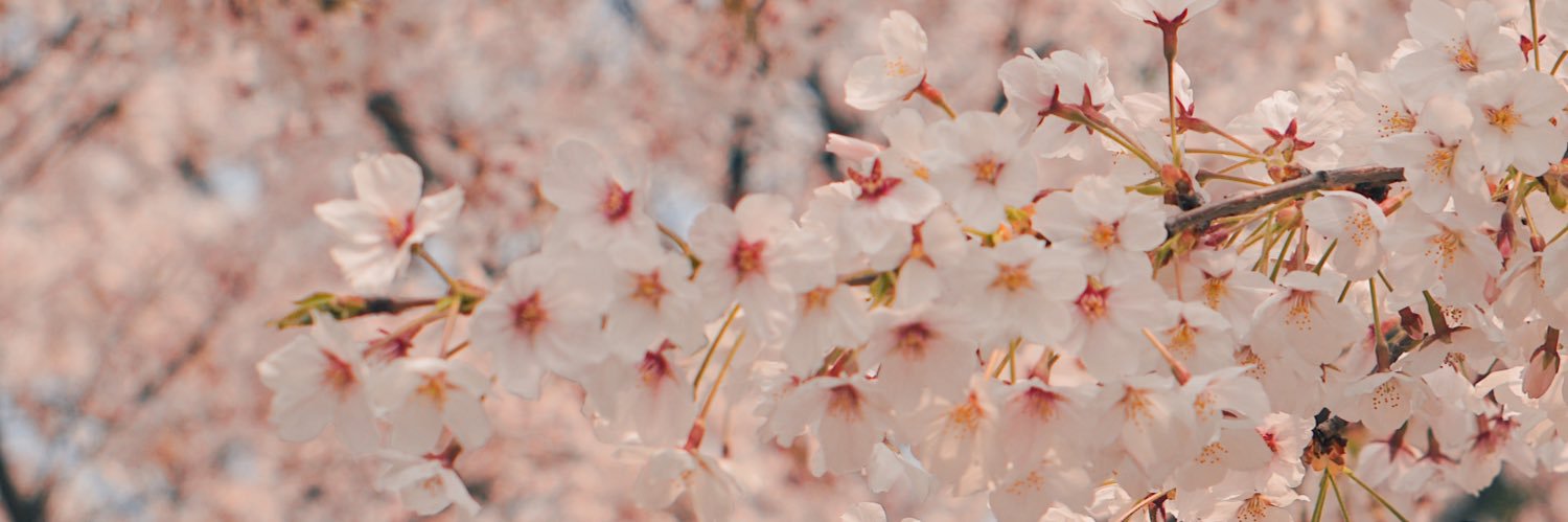𝐜𝐚𝐥𝐥𝐦𝐞𝐦𝐚𝐤𝐞𝐮's banner