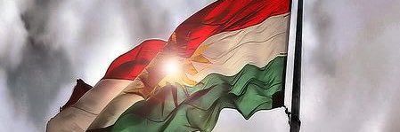 Elî Kolo's banner