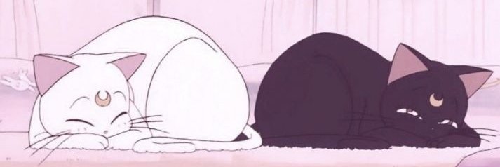 C H I A R A A ♡'s banner