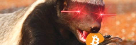 badger's banner
