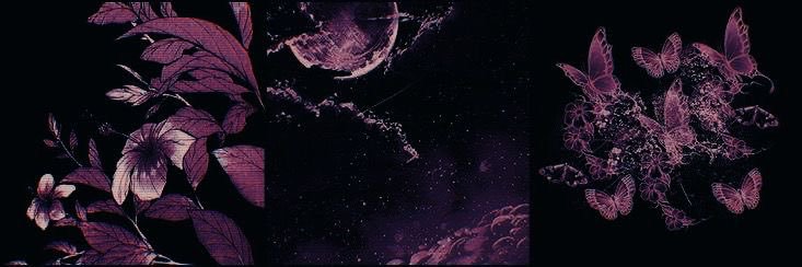 ☁️🛸's banner