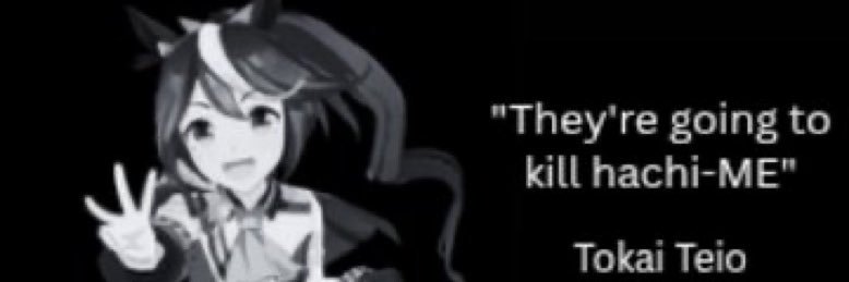 Tegoose's banner