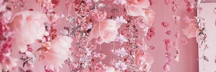 Verra's banner