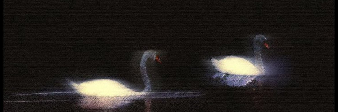 im.'s banner
