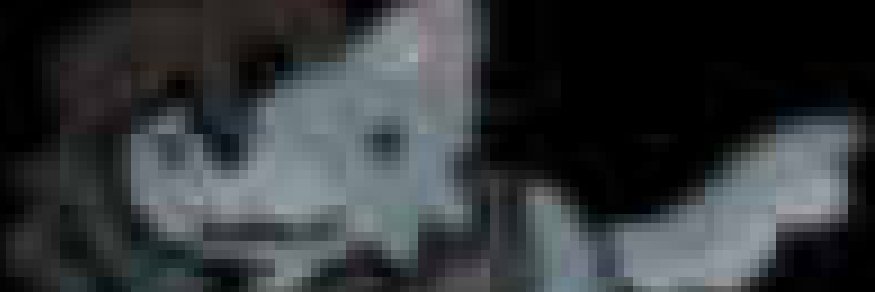 soap's banner