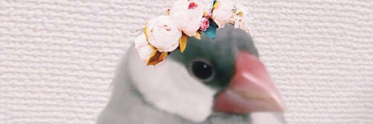 ことり o&soup's banner
