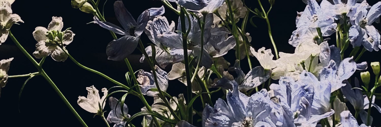 BlueBlossom's banner