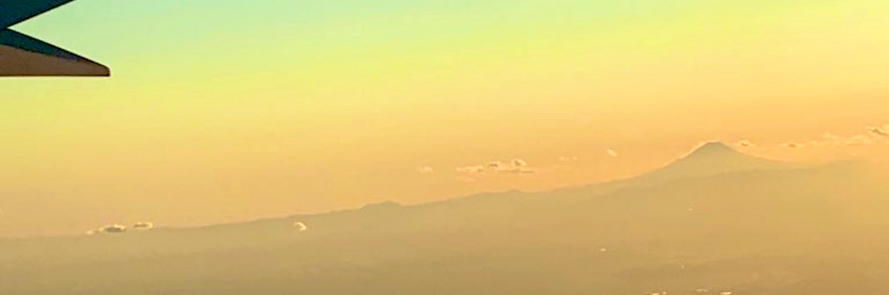 真子's banner