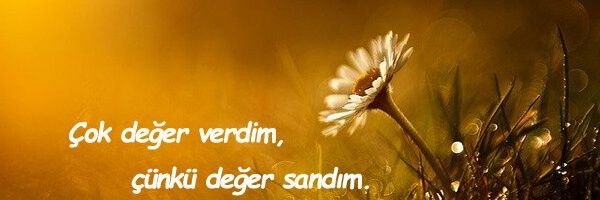 Sessiz Çığlık's banner