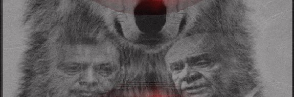 🌺 NURO 🌺's banner