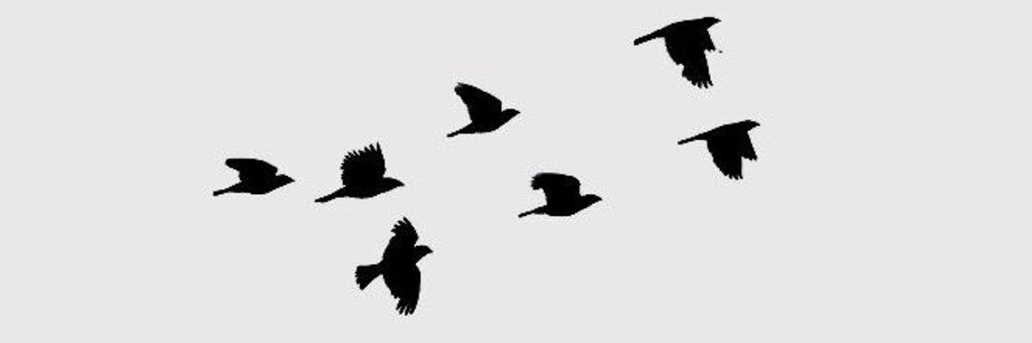 Vulture Trades 🦅(Private)'s banner