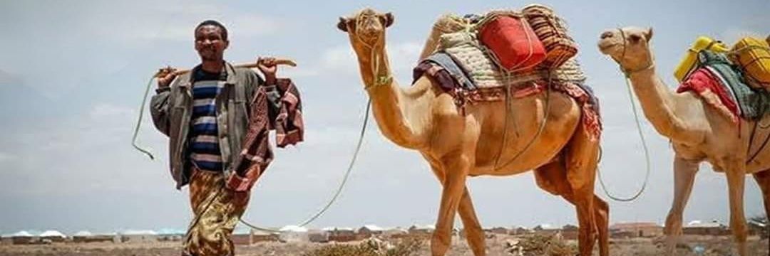 Quraish Abdi Habashow's banner
