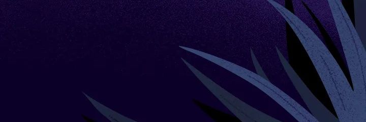 TheDon's banner