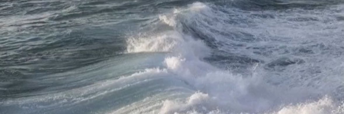 PeacefulHeart's banner