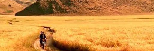 🔻檜田相一's banner
