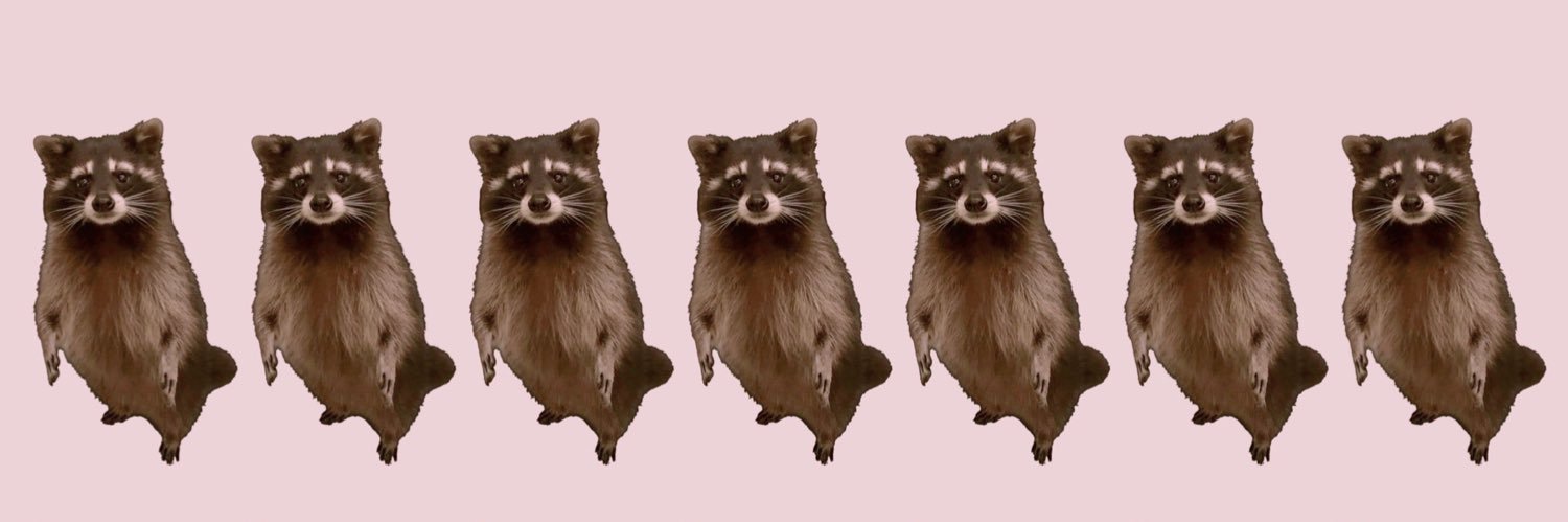 ARAI ❤️🦝's banner