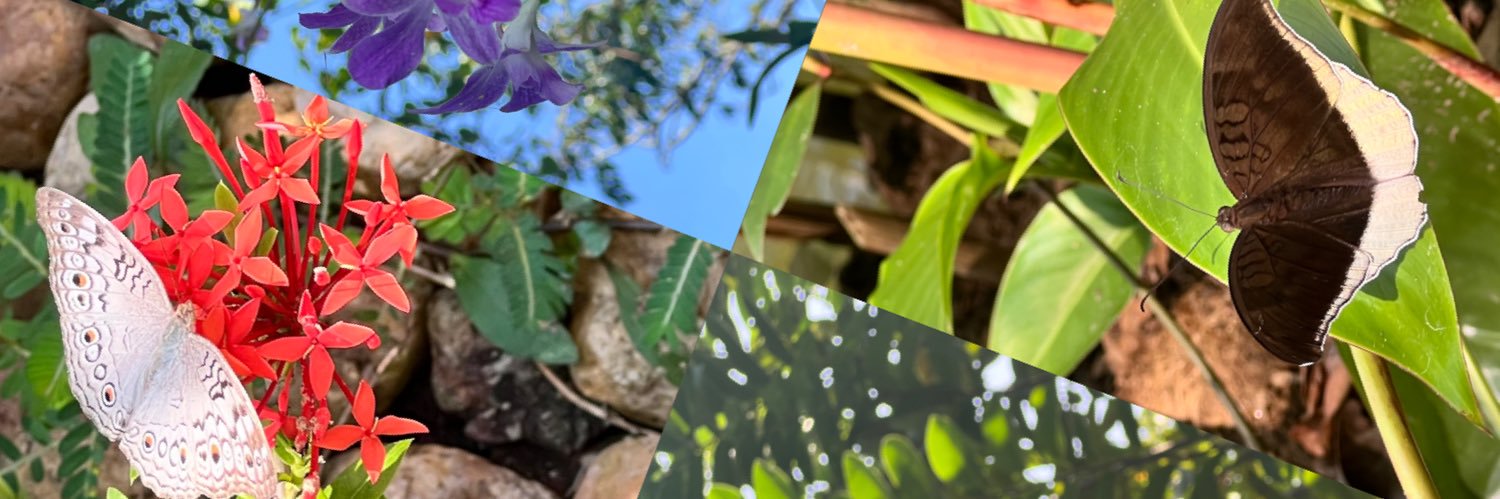 vish ⋆.ೃ࿔🌸*:･'s banner