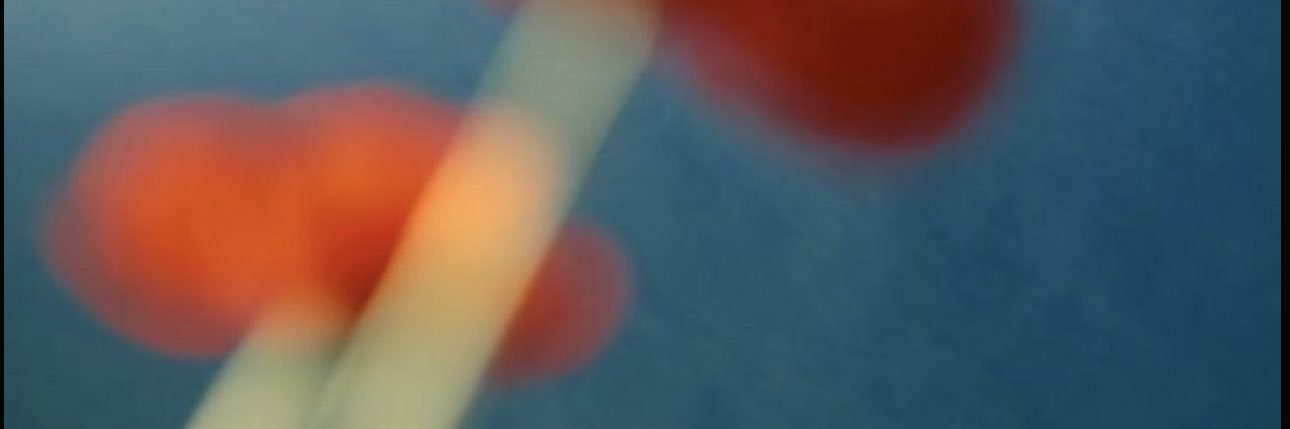 Marina Ruy Barbosa's banner
