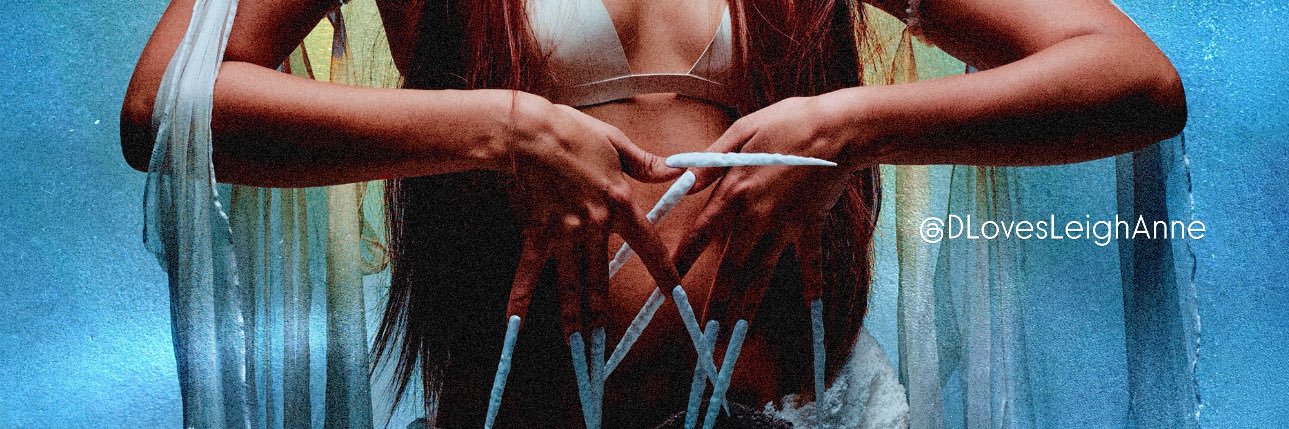 D •'s banner