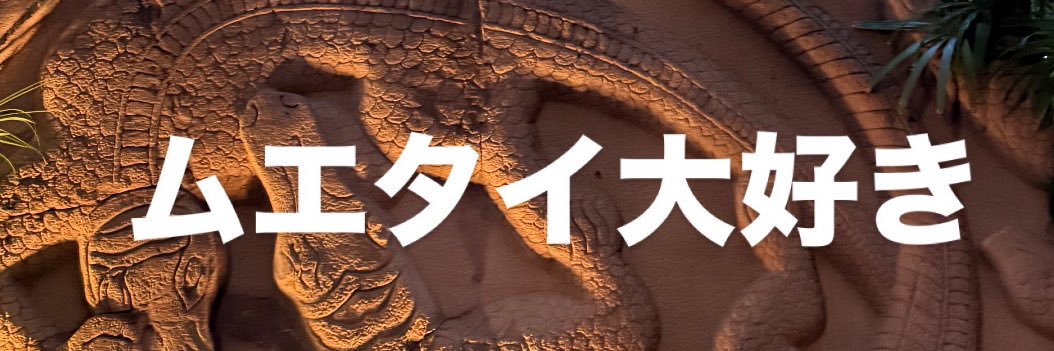 みいちゃんレンジャージム　ムエタイお姉さん's banner